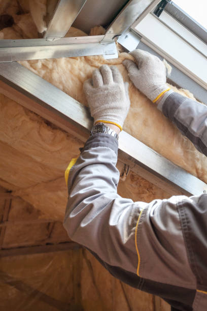 Best Insulation Replacement Services  in West Point, VA