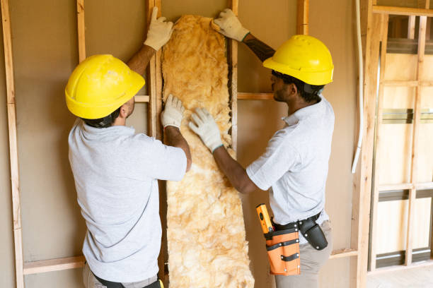 Insulation Replacement Services in West Point, VA